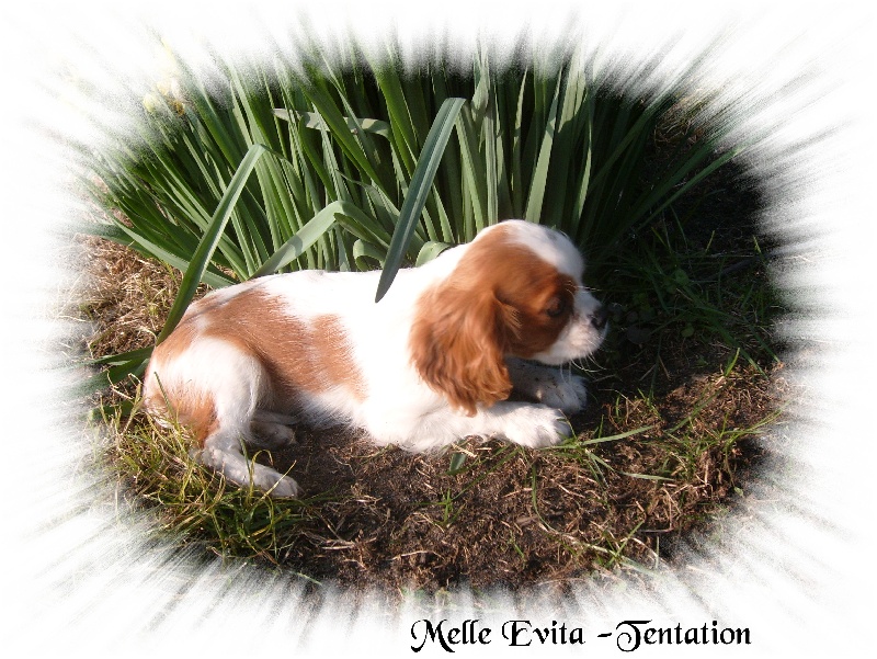 Publication : de la plaine du Jaelma