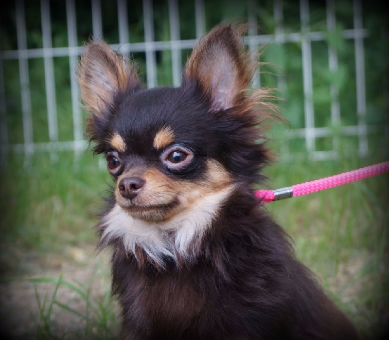 Publication : de la plaine du Jaelma