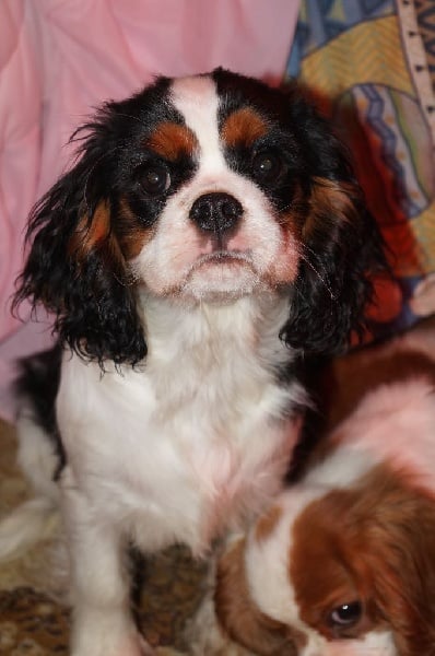 Publication : de la plaine du Jaelma