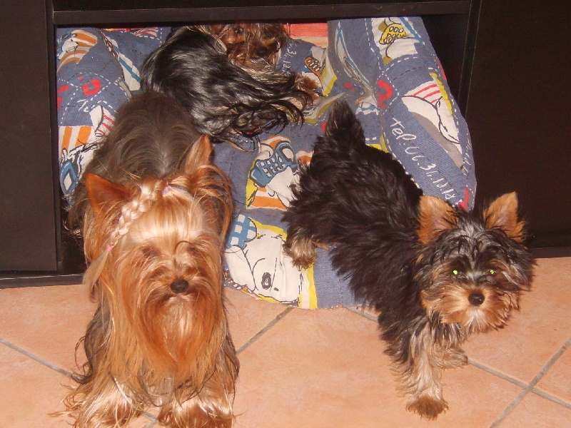 Publication : de la plaine du Jaelma