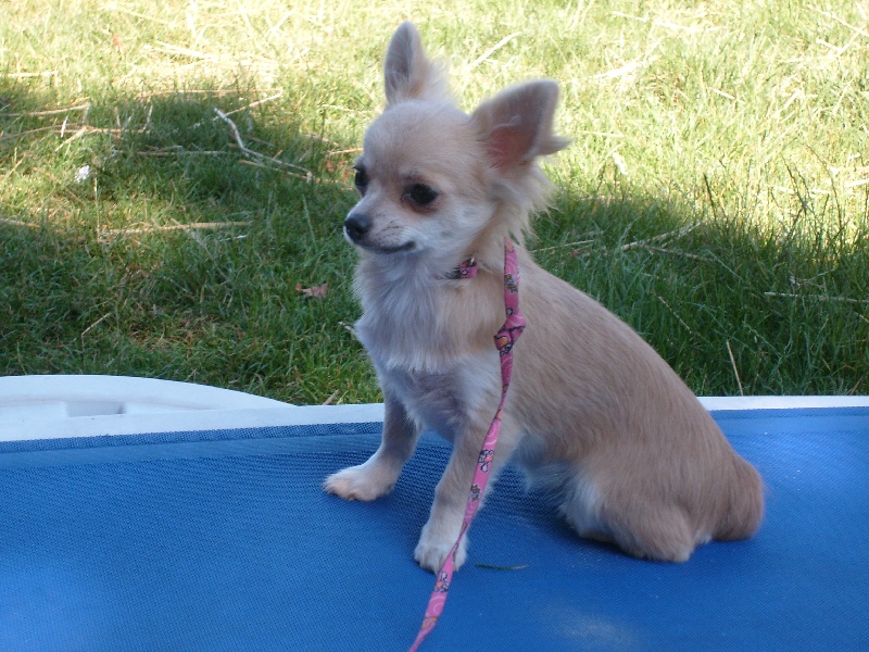 Publication : de la plaine du Jaelma