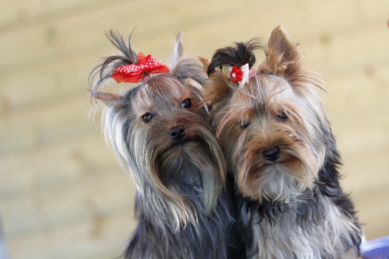 Publication : de la plaine du Jaelma