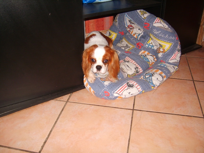 Publication : de la plaine du Jaelma