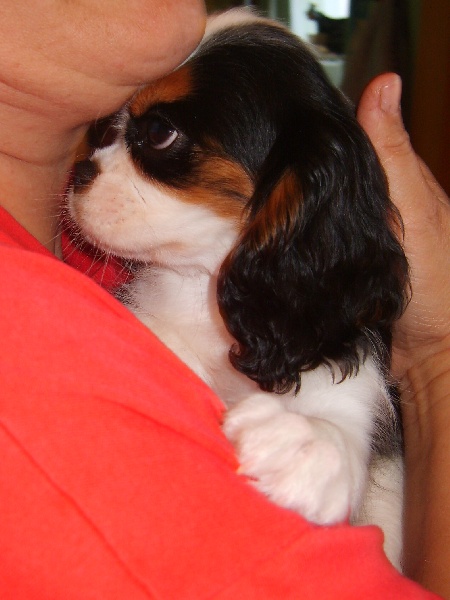 Publication : de la plaine du Jaelma