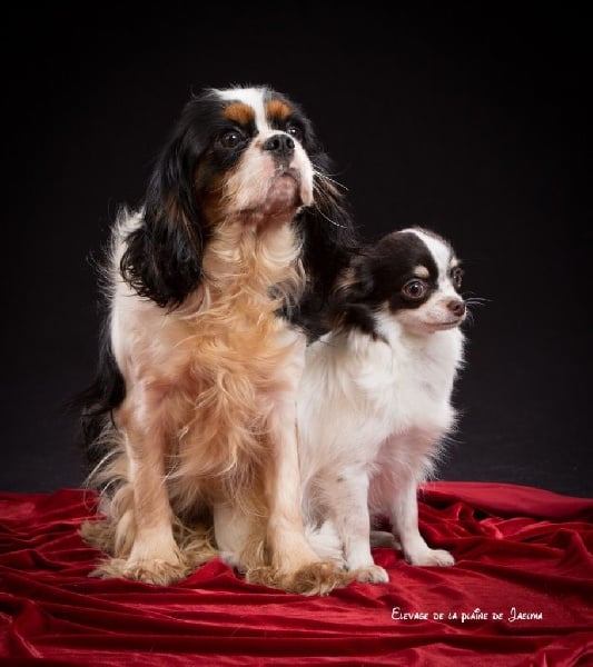 Publication : de la plaine du Jaelma