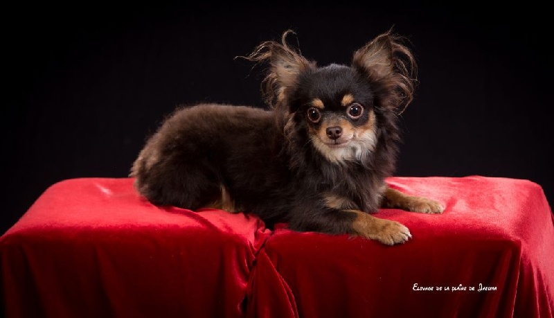 Publication : de la plaine du Jaelma