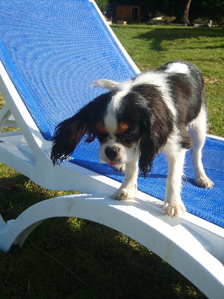 Publication : de la plaine du Jaelma