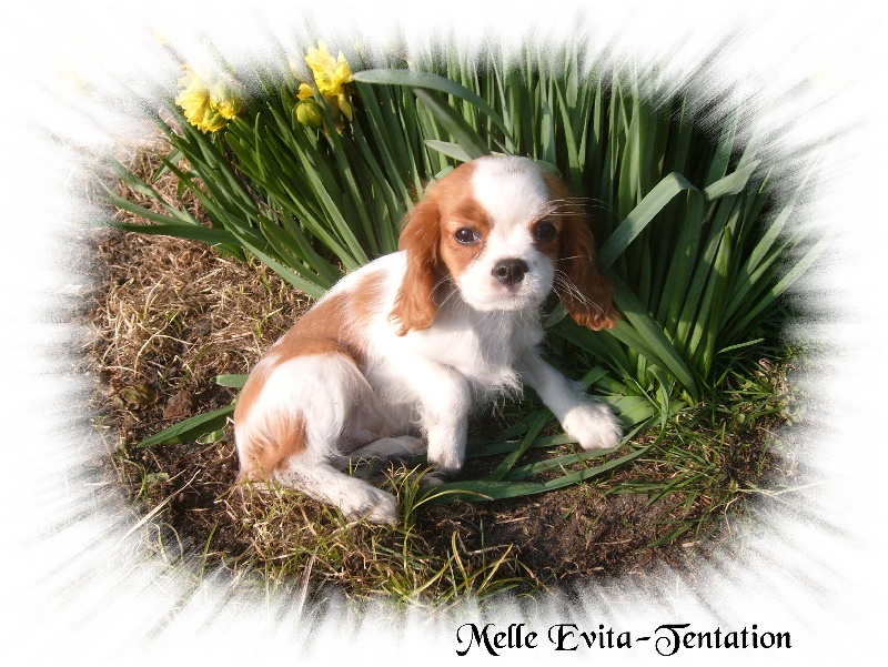 Publication : de la plaine du Jaelma