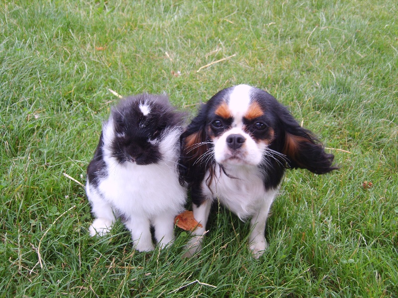 Publication : de la plaine du Jaelma