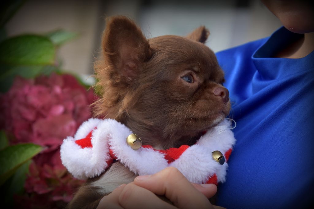 Ana de la plaine du jaelma