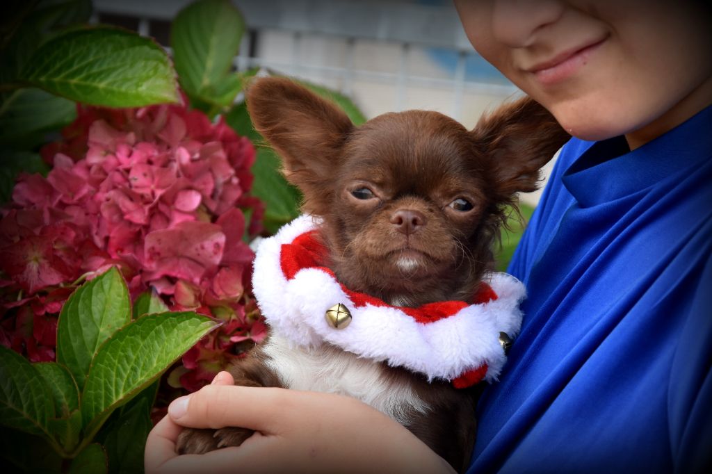 Ana de la plaine du jaelma