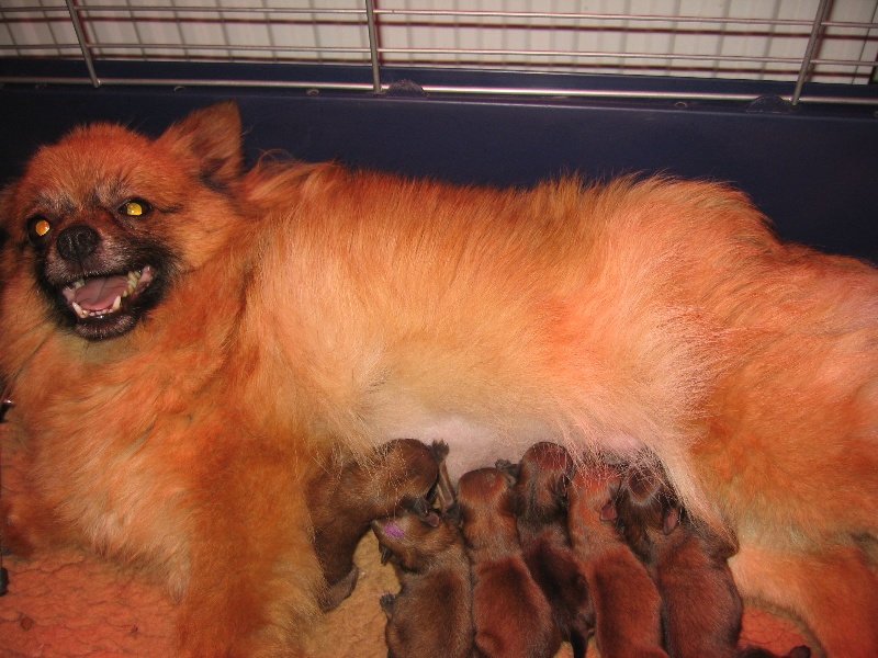 Helma du domaine des quatre Pierres