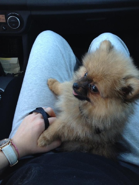 Helma du domaine des quatre Pierres