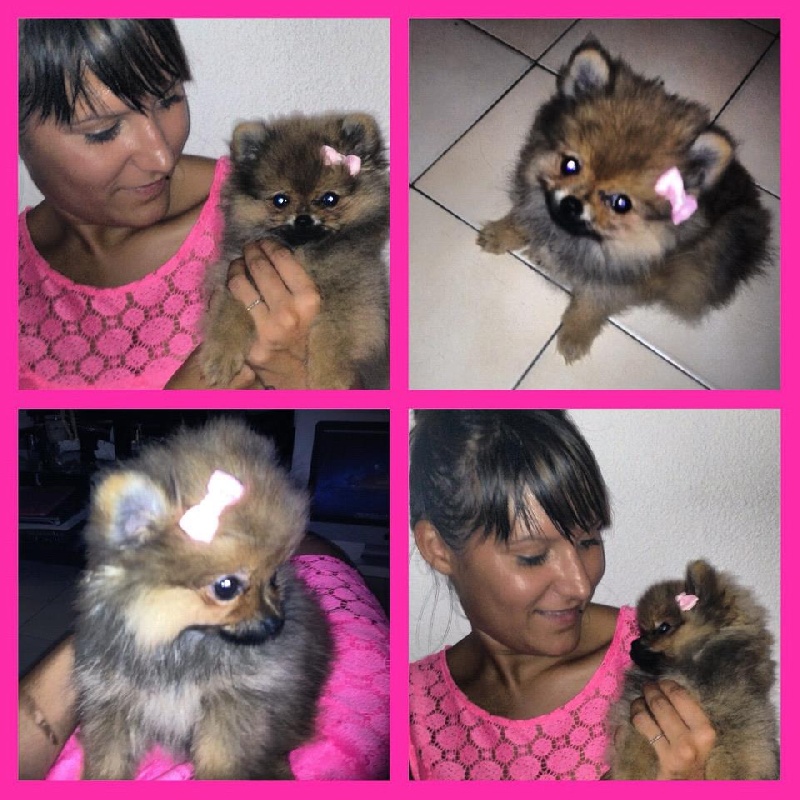 Helma du domaine des quatre Pierres