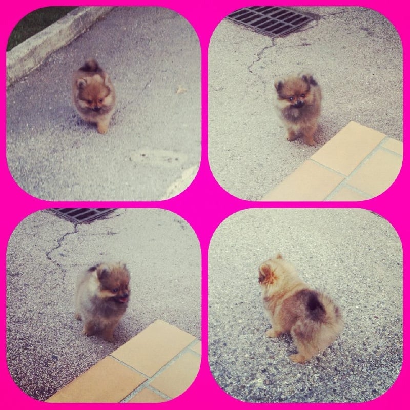 Helma du domaine des quatre Pierres