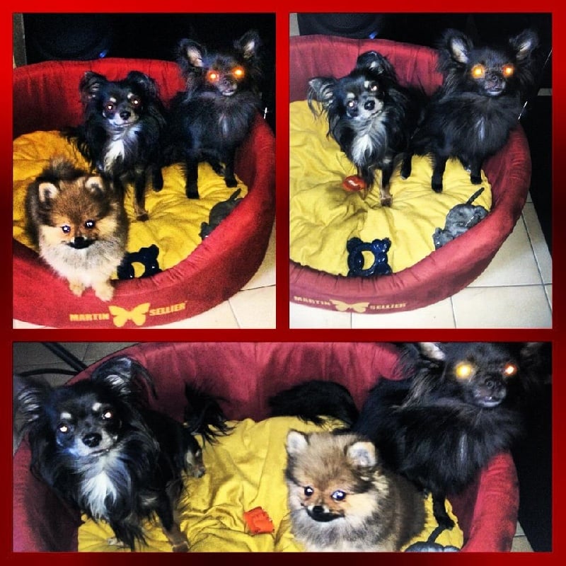 Helma du domaine des quatre Pierres