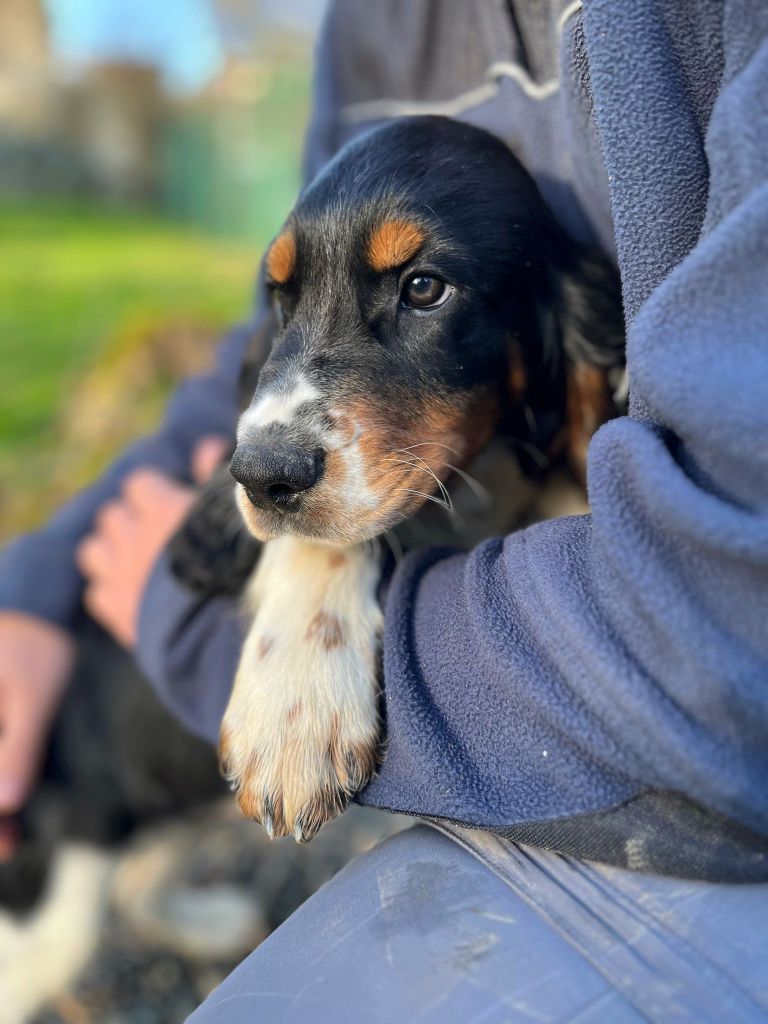 VAL