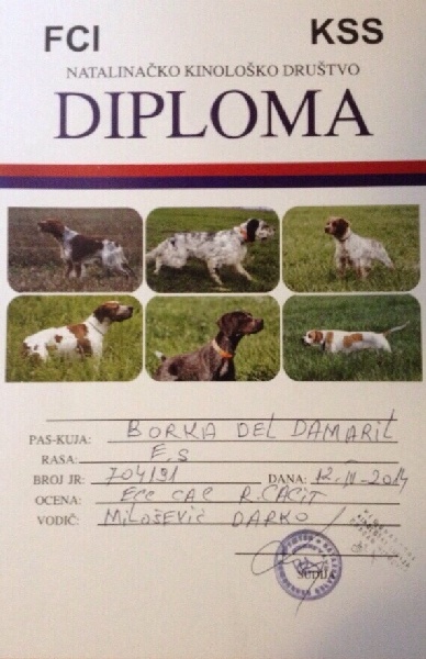 TR. CH. Borka del damaril - 1er EXC . CACT / RCACIT