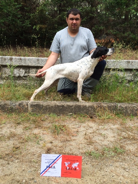 TR. CH. Humea de la forêt du Melu - 1er EXCELLENT CACS - CACIB 2e Meilleur de race