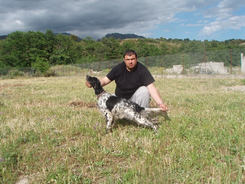 TR. CH. Borka del damaril - 1er EXC RCACIB