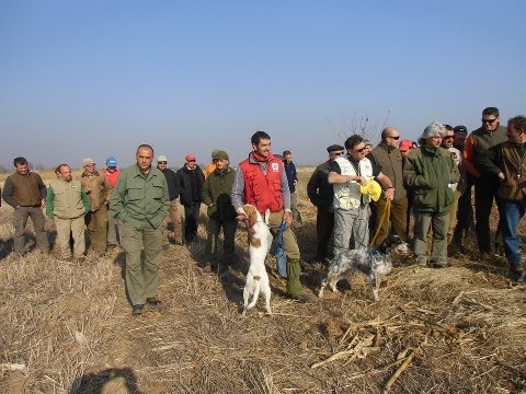 TR. CH. Aurora (Sans Affixe) - CACIT