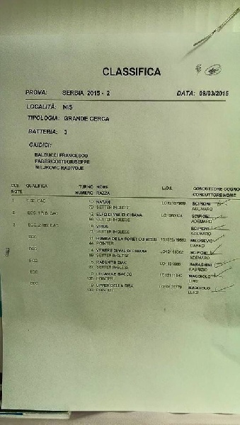 TR. CH. Humea de la forêt du Melu - 4e EXCELLENT