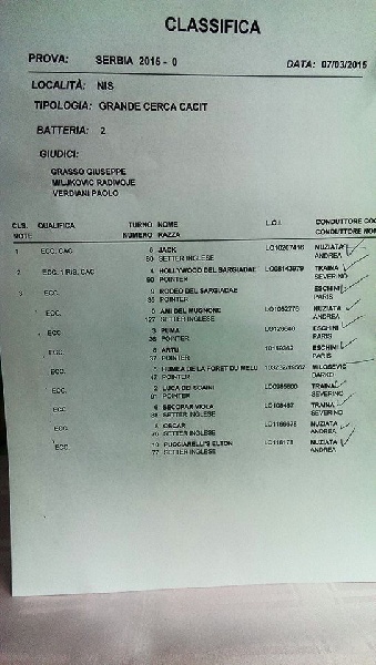 TR. CH. Humea de la forêt du Melu - EXCELLENT