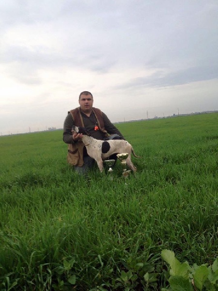 TR. CH. Humea de la forêt du Melu - 1er EXC . CACT - CACIT