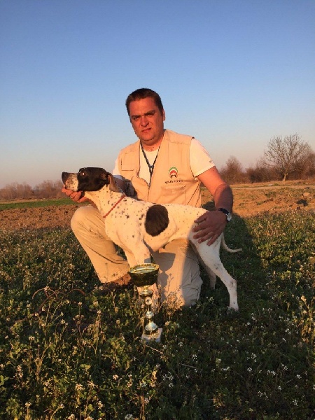 TR. CH. Humea de la forêt du Melu - 2e EXC .RCACIT