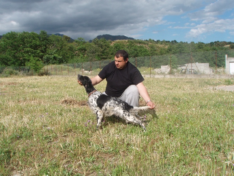 TR. CH. Borka del damaril - TB