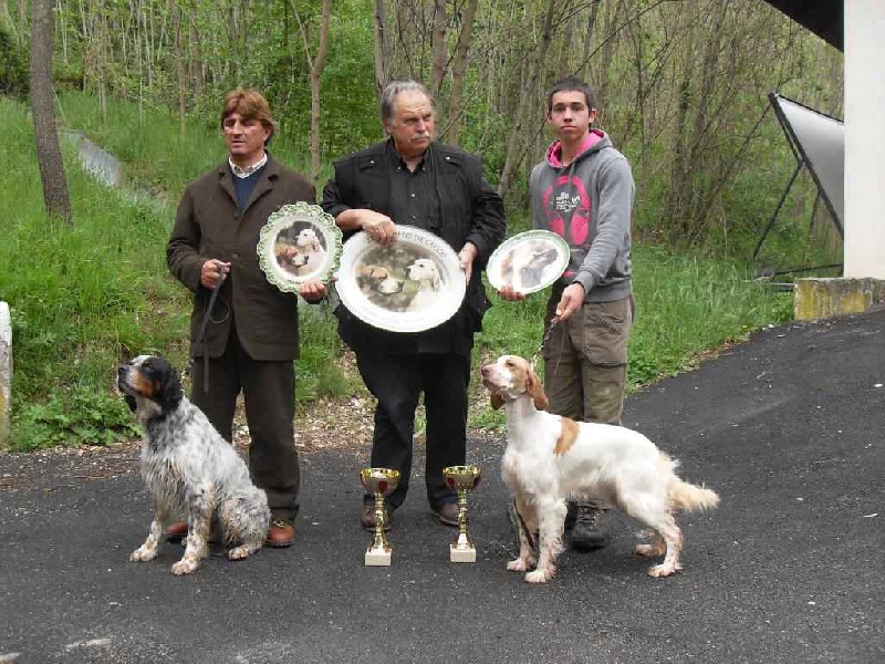 TR. CH. Aurora (Sans Affixe) - VAINQUEUR DU TROFEO "G.CECCO"