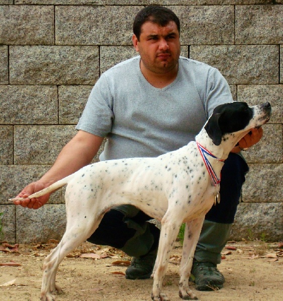 TR. CH. Humea de la forêt du Melu - EXCELLENT