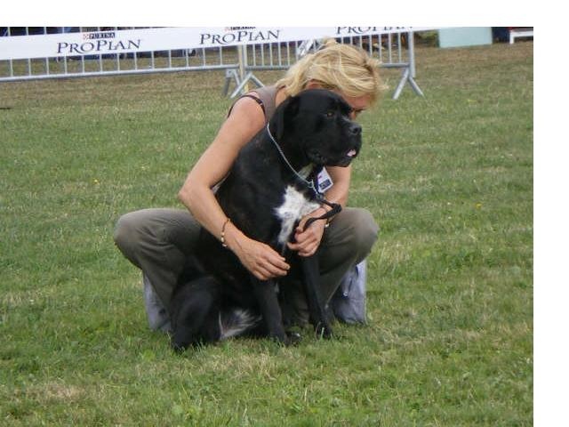 Cherry cook dit cali des Gardiens des Murailles - 1 ER TRES BON CLASSE JEUNE