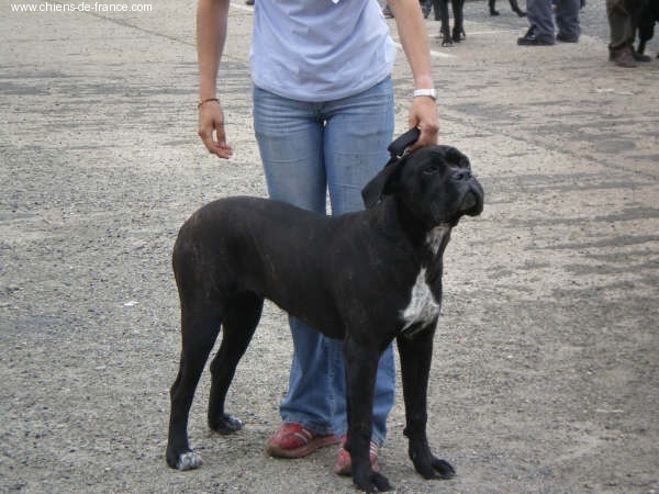 Cherry cook dit cali des Gardiens des Murailles - 4 eme exeellente CLASSE JEUNE