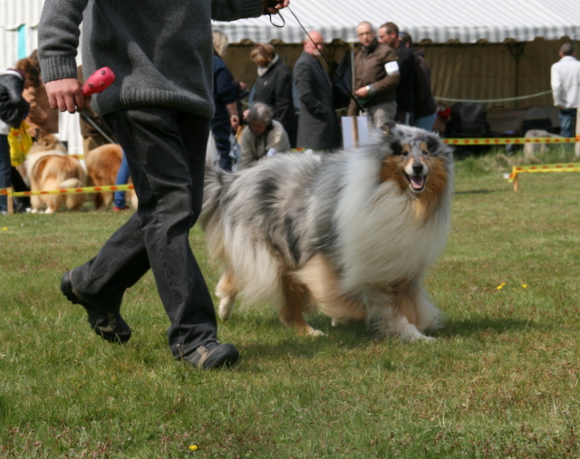 Publication : of sweety dolls Auteur : Virginie Dos Santos