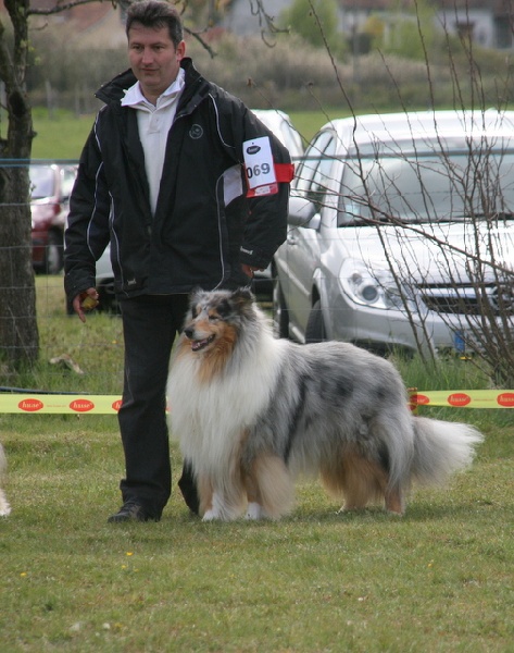 Publication : of sweety dolls Auteur : Virginie Dos Santos