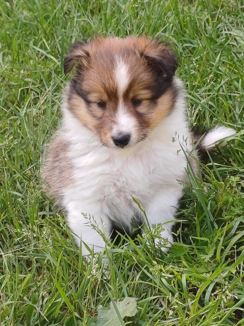 Bilbo