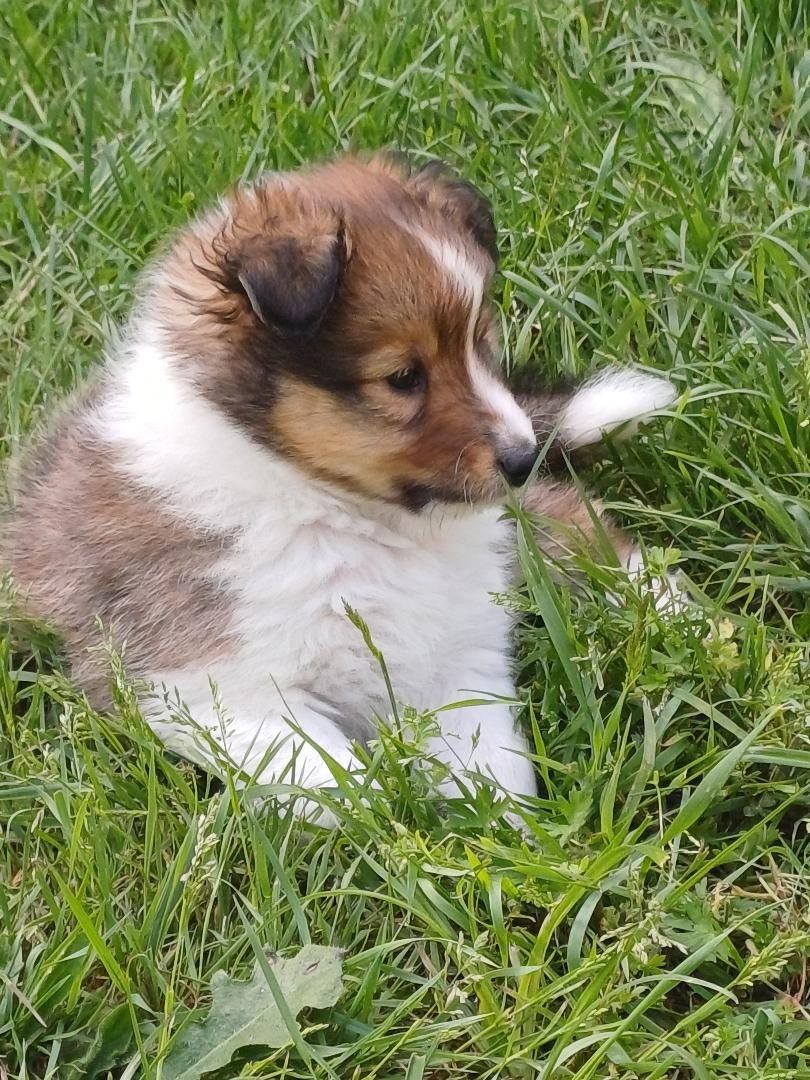 Bilbo
