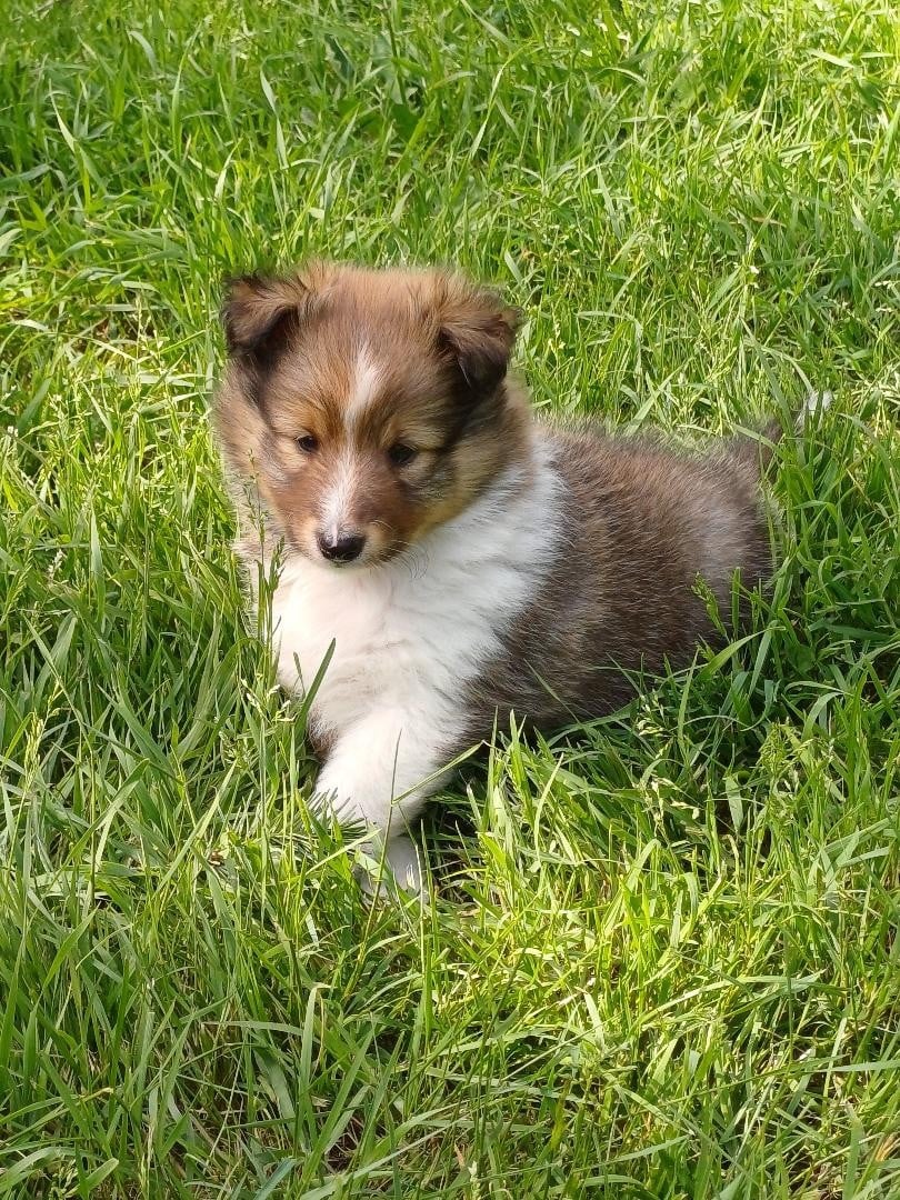 Bucky
