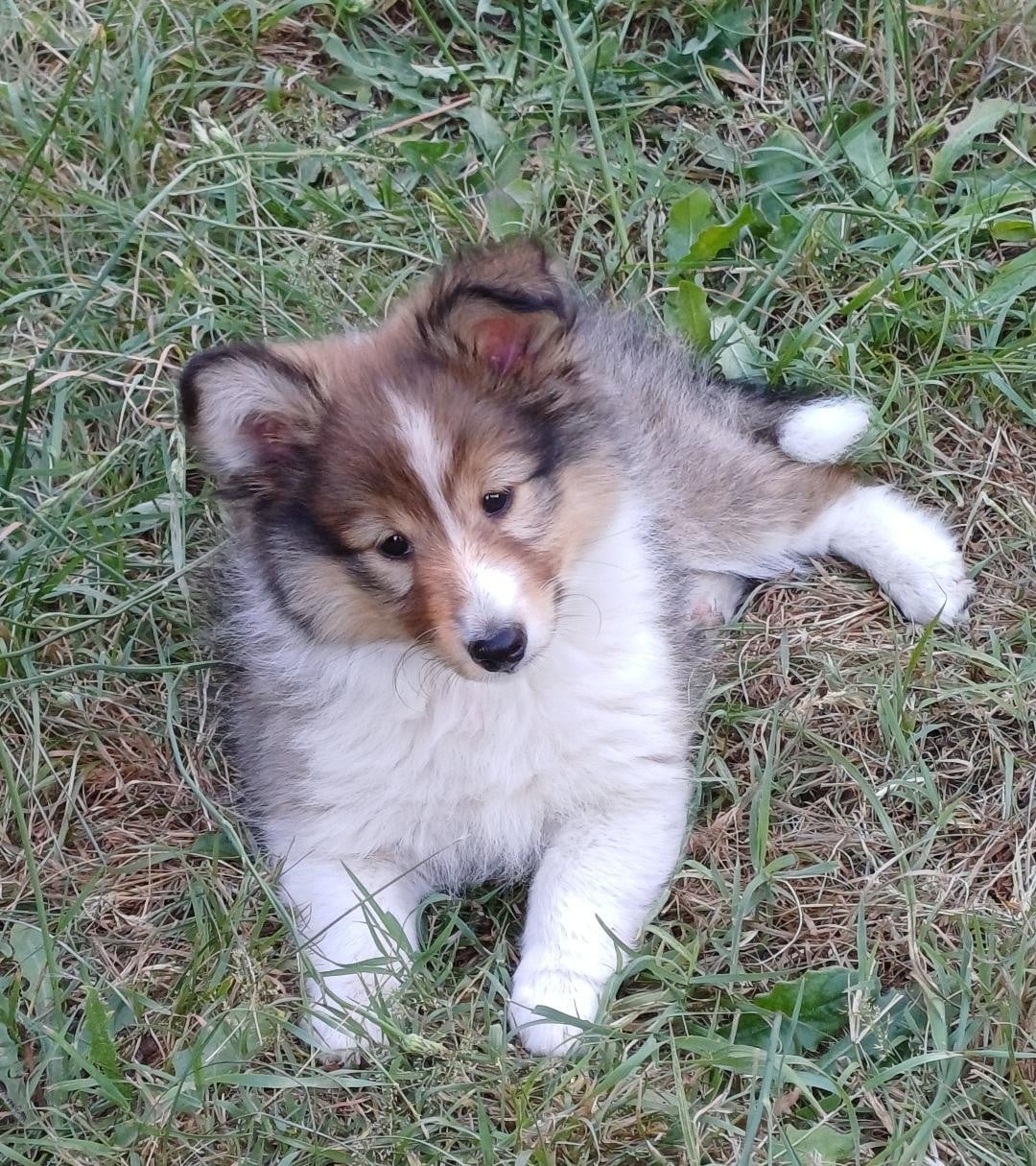 Bilbo
