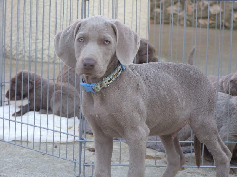 Publication : des beiges du lavoir Martin