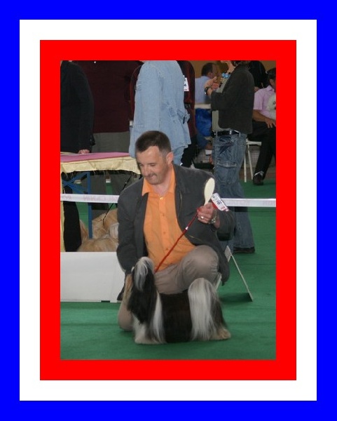 CH. A'blacky sexy des loges de karita - CACS-CACIB