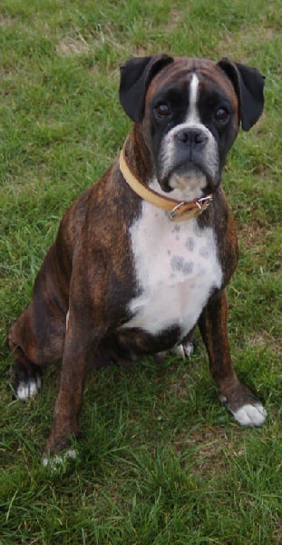 Thebes 2 des Zé de Philoctête