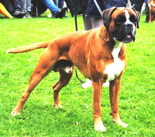 Dondiègosvégas'king des Zé de Philoctête - Exc Non Classé