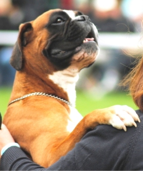 Dondiègosvégas'king des Zé de Philoctête - 3 ème TB