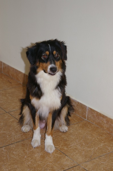 Publication : de la Cascade Ensolleillé