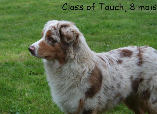 Class of  Touch of Benito Farm