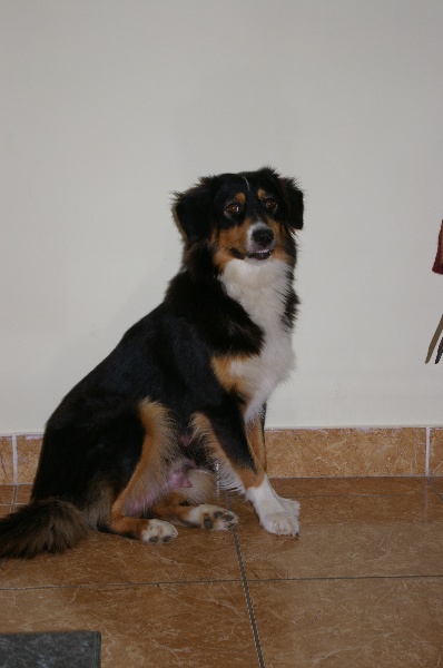 Publication : de la Cascade Ensolleillé