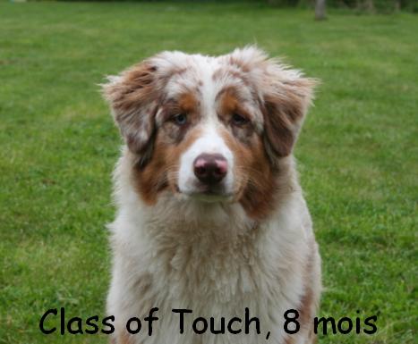 Class of  Touch of Benito Farm