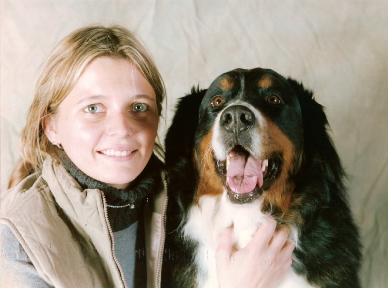 Pheeling Du ruisseau ensoleille